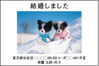 画面