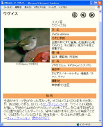 ޥǥ޴