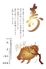 画面